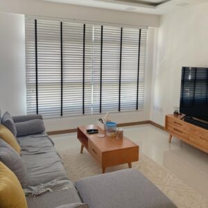 VENETIAN BLINDS 3